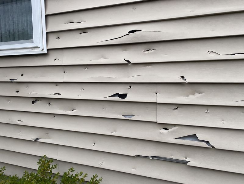 Roof Revivers is the best storm damaged siding repair company in Columbus, Ohio.